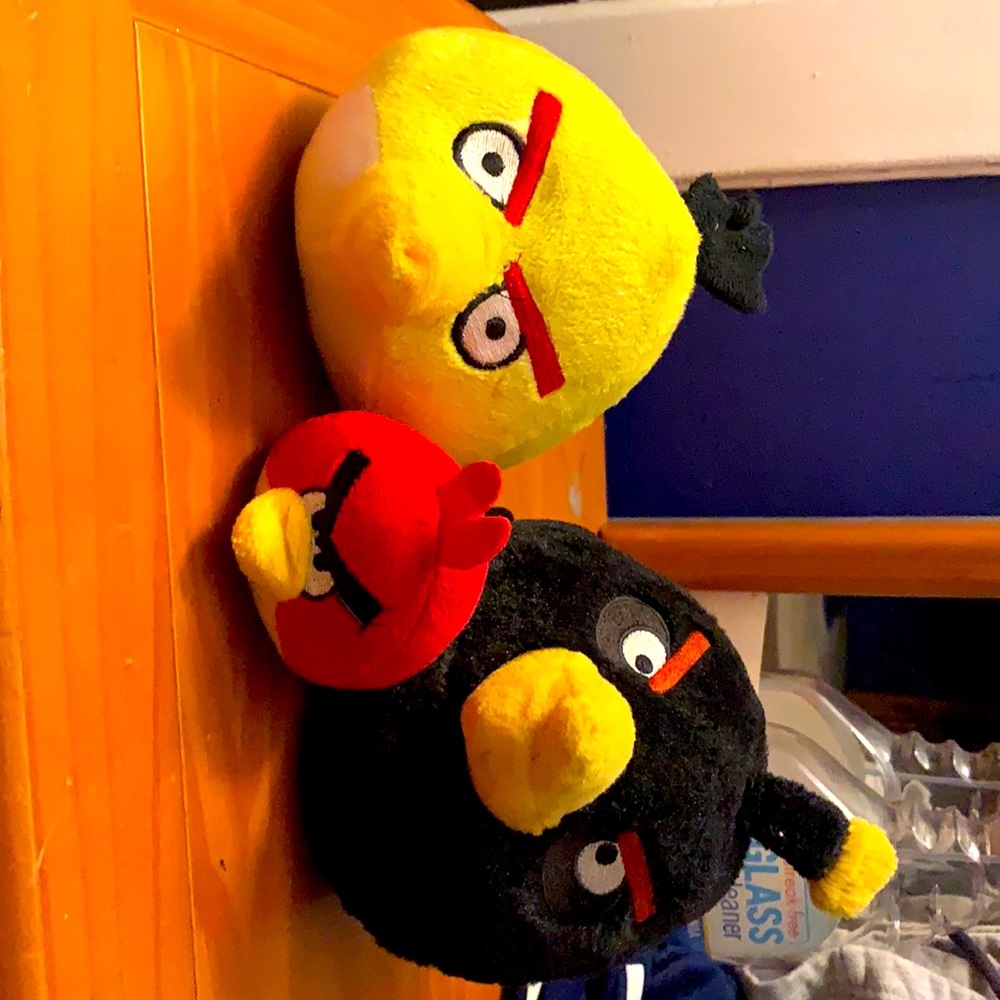 Angry birds collection